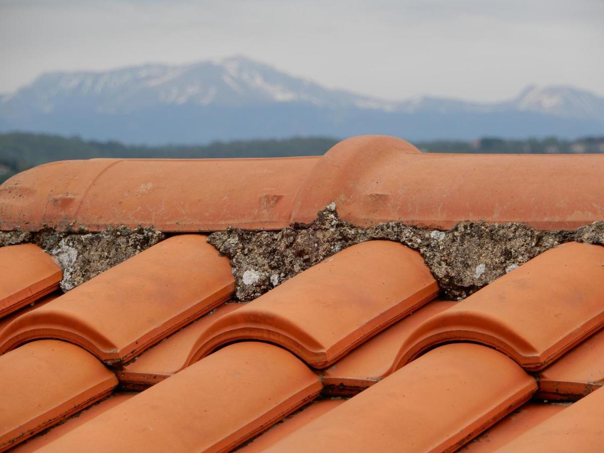 Il Gelsomino Frasso Sabino Exterior foto