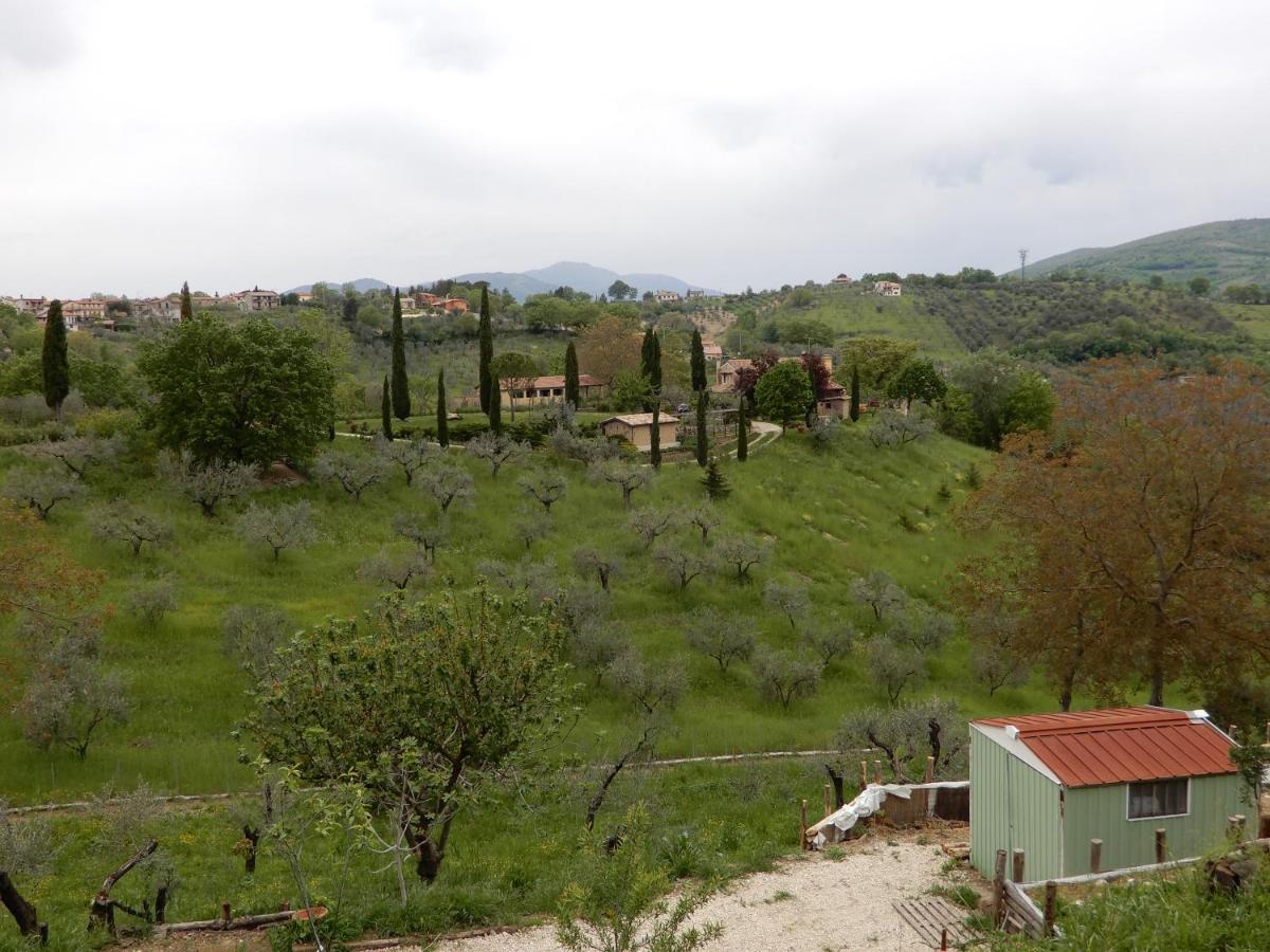 Il Gelsomino Frasso Sabino Exterior foto