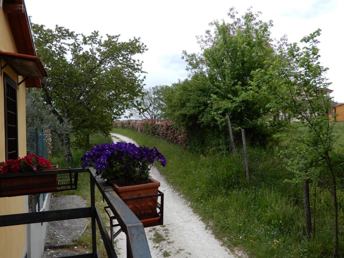 Il Gelsomino Frasso Sabino Exterior foto